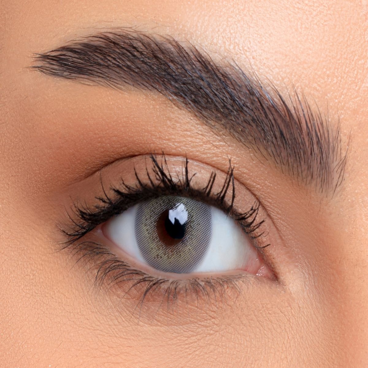 LENSME SOFT LENSES-MONTHLY MALKIT PLANO