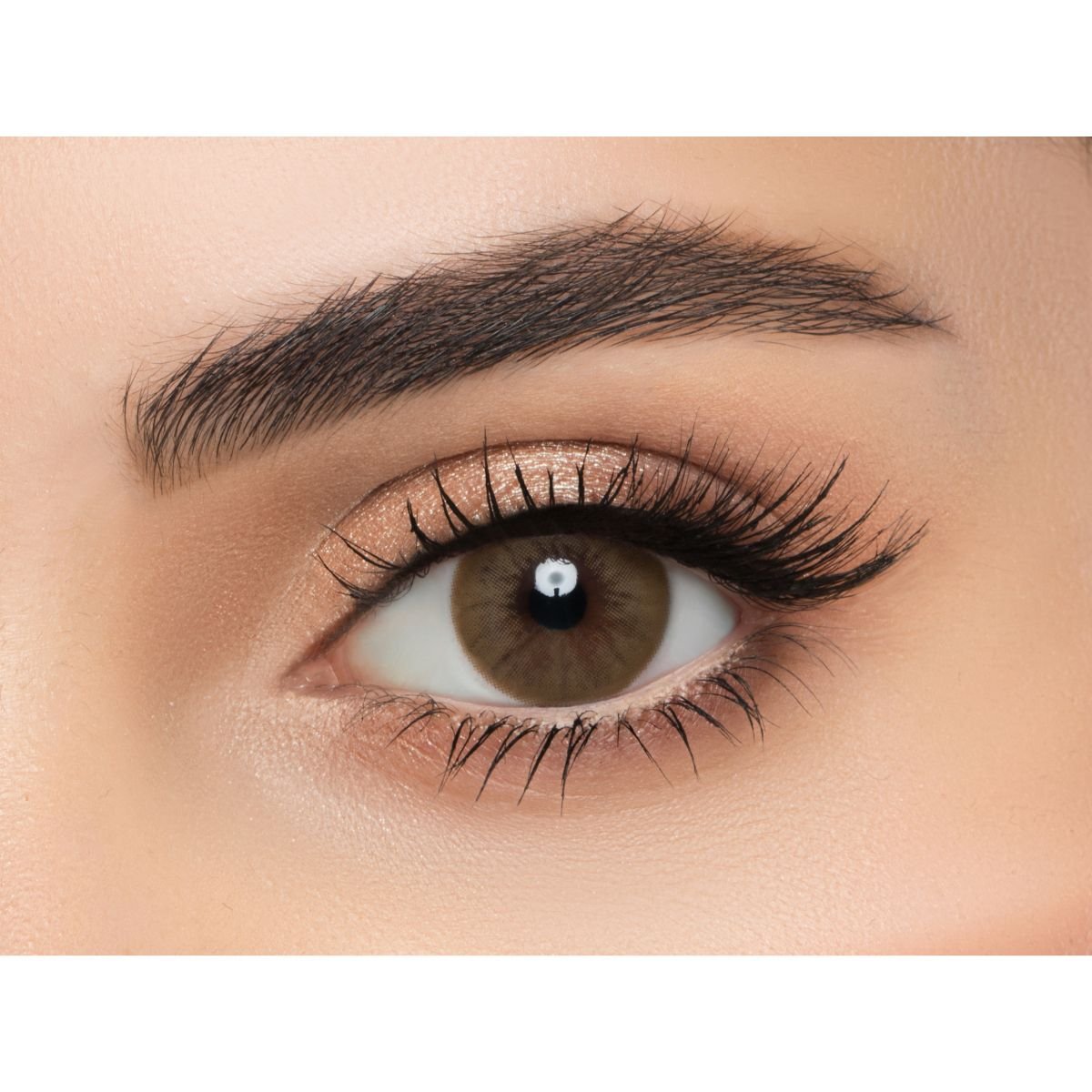 LENSME SOFT LENSES-MONTHLY LATTE PLANO