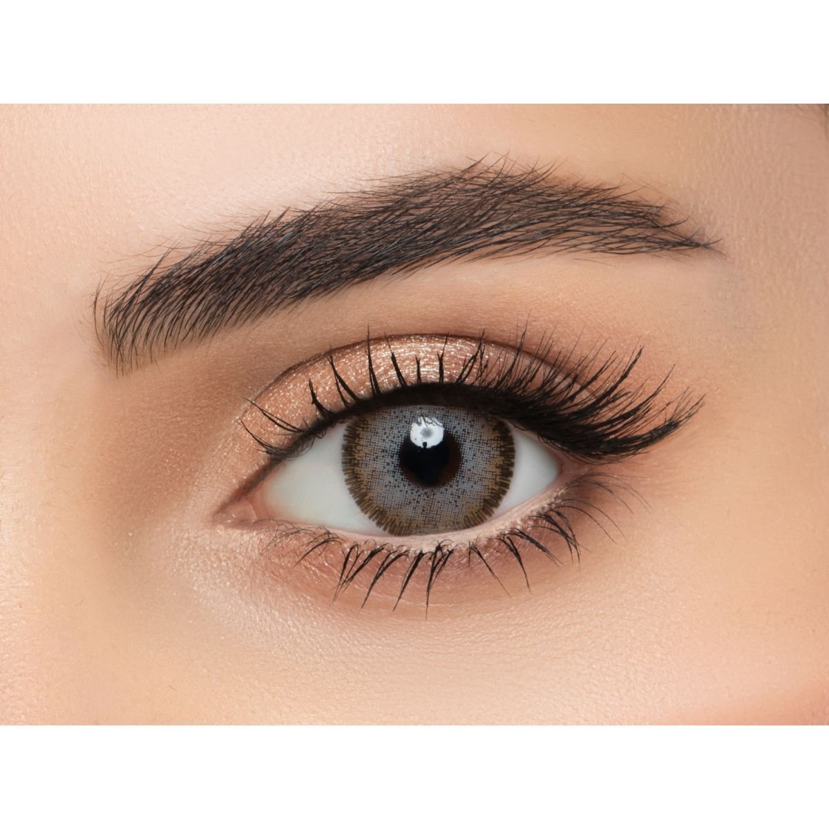 LENSME SOFT LENSES-MONTHLY BROWN
