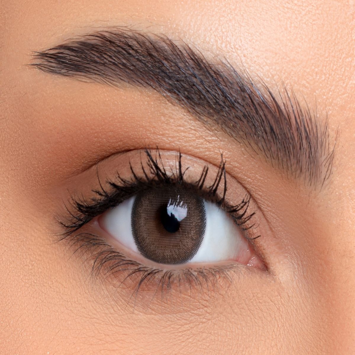 LENSME LENSES DRAMA 1 PC